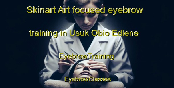 Skinart Art-focused eyebrow training in Usuk Obio Ediene | EyebrowTraining | EyebrowClasses | SkinartTraining-Nigeria