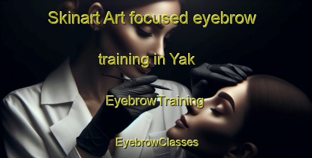 Skinart Art-focused eyebrow training in Yak | EyebrowTraining | EyebrowClasses | SkinartTraining-Nigeria