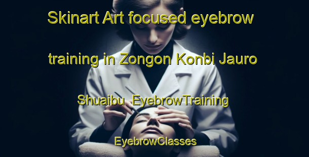 Skinart Art-focused eyebrow training in Zongon Konbi Jauro Shuaibu | EyebrowTraining | EyebrowClasses | SkinartTraining-Nigeria