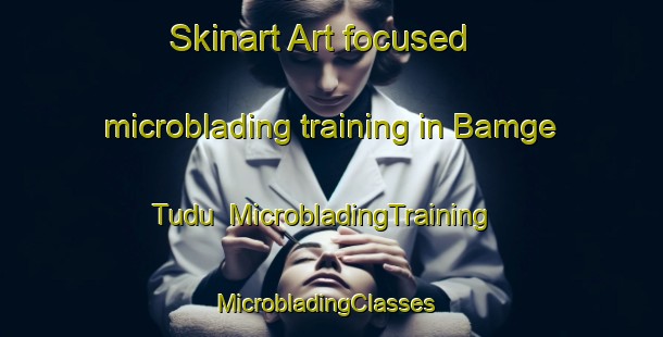 Skinart Art-focused microblading training in Bamge Tudu | MicrobladingTraining | MicrobladingClasses | SkinartTraining-Nigeria