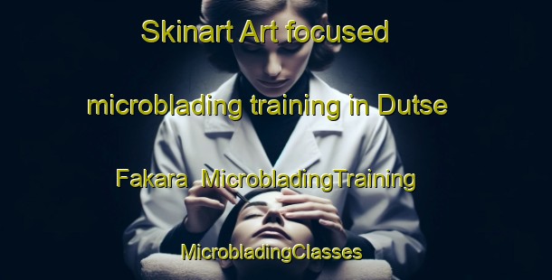 Skinart Art-focused microblading training in Dutse Fakara | MicrobladingTraining | MicrobladingClasses | SkinartTraining-Nigeria