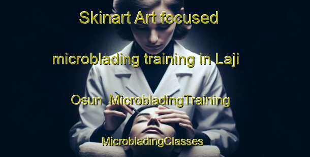 Skinart Art-focused microblading training in Laji Osun | MicrobladingTraining | MicrobladingClasses | SkinartTraining-Nigeria