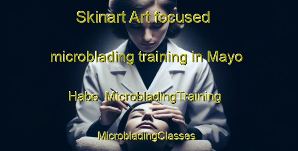 Skinart Art-focused microblading training in Mayo Habe | MicrobladingTraining | MicrobladingClasses | SkinartTraining-Nigeria