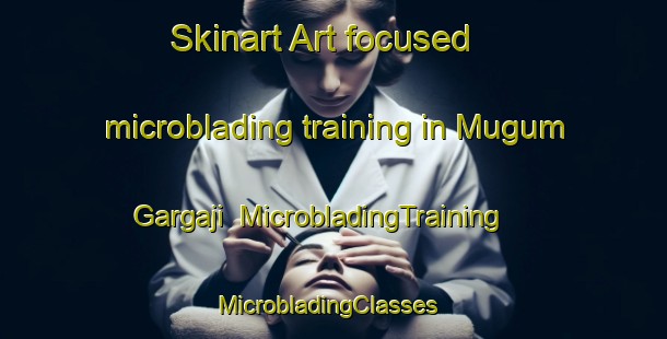 Skinart Art-focused microblading training in Mugum Gargaji | MicrobladingTraining | MicrobladingClasses | SkinartTraining-Nigeria