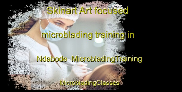 Skinart Art-focused microblading training in Ndabode | MicrobladingTraining | MicrobladingClasses | SkinartTraining-Nigeria