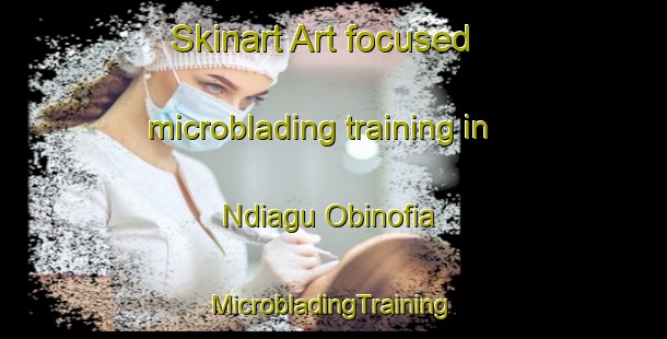 Skinart Art-focused microblading training in Ndiagu Obinofia | #MicrobladingTraining #MicrobladingClasses #SkinartTraining-Nigeria