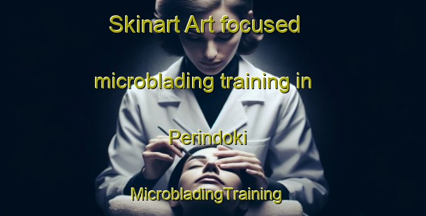 Skinart Art-focused microblading training in Perindoki | MicrobladingTraining | MicrobladingClasses | SkinartTraining-Nigeria