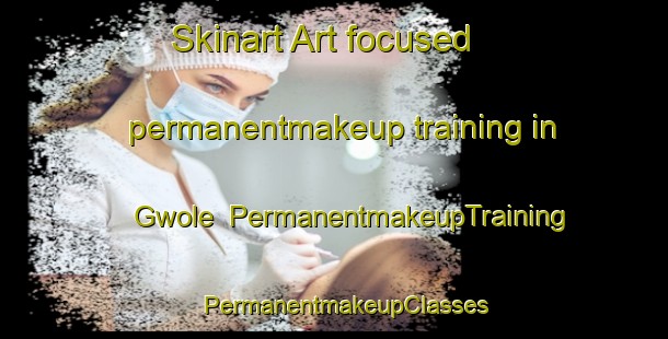 Skinart Art-focused permanentmakeup training in Gwole | PermanentmakeupTraining | PermanentmakeupClasses | SkinartTraining-Nigeria