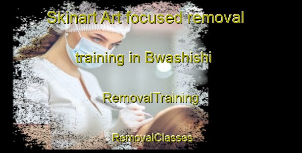 Skinart Art-focused removal training in Bwashishi | RemovalTraining | RemovalClasses | SkinartTraining-Nigeria