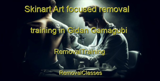 Skinart Art-focused removal training in Gidan Gamagubi | RemovalTraining | RemovalClasses | SkinartTraining-Nigeria