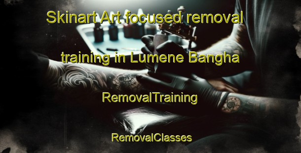 Skinart Art-focused removal training in Lumene Bangha | RemovalTraining | RemovalClasses | SkinartTraining-Nigeria