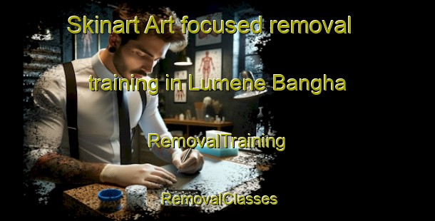 Skinart Art-focused removal training in Lumene Bangha | RemovalTraining | RemovalClasses | SkinartTraining-Nigeria