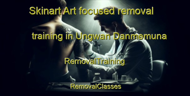 Skinart Art-focused removal training in Ungwan Danmemuna | RemovalTraining | RemovalClasses | SkinartTraining-Nigeria