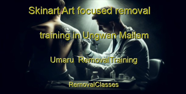 Skinart Art-focused removal training in Ungwan Mallam Umaru | RemovalTraining | RemovalClasses | SkinartTraining-Nigeria