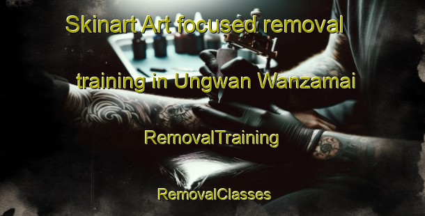 Skinart Art-focused removal training in Ungwan Wanzamai | RemovalTraining | RemovalClasses | SkinartTraining-Nigeria