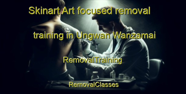 Skinart Art-focused removal training in Ungwan Wanzamai | RemovalTraining | RemovalClasses | SkinartTraining-Nigeria