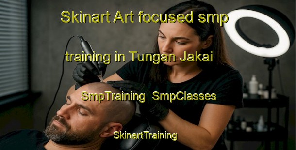 Skinart Art-focused smp training in Tungan Jakai | SmpTraining | SmpClasses | SkinartTraining-Nigeria