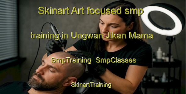 Skinart Art-focused smp training in Ungwan Jikan Mama | SmpTraining | SmpClasses | SkinartTraining-Nigeria