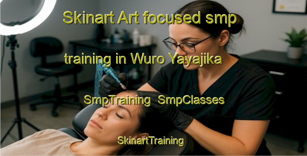 Skinart Art-focused smp training in Wuro Yayajika | SmpTraining | SmpClasses | SkinartTraining-Nigeria