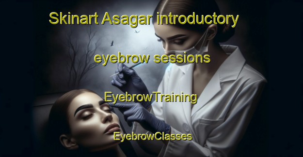 Skinart Asagar introductory eyebrow sessions | EyebrowTraining | EyebrowClasses | SkinartTraining-Nigeria