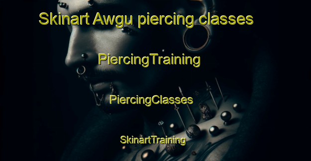 Skinart Awgu piercing classes | PiercingTraining | PiercingClasses | SkinartTraining-Nigeria