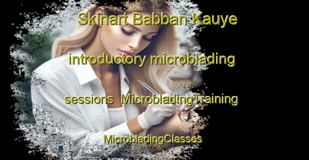 Skinart Babban Kauye introductory microblading sessions | MicrobladingTraining | MicrobladingClasses | SkinartTraining-Nigeria