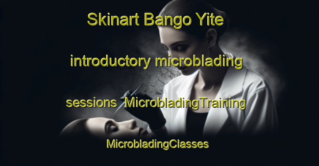 Skinart Bango Yite introductory microblading sessions | MicrobladingTraining | MicrobladingClasses | SkinartTraining-Nigeria