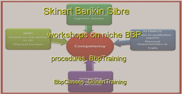 Skinart Barikin Sibre workshops on niche BBP procedures | BbpTraining | BbpClasses | SkinartTraining-Nigeria