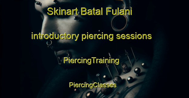 Skinart Batal Fulani introductory piercing sessions | PiercingTraining | PiercingClasses | SkinartTraining-Nigeria