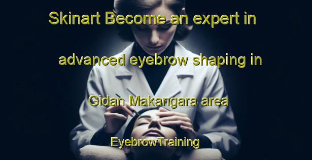Skinart Become an expert in advanced eyebrow shaping in Gidan Makangara area | EyebrowTraining | EyebrowClasses | SkinartTraining-Nigeria