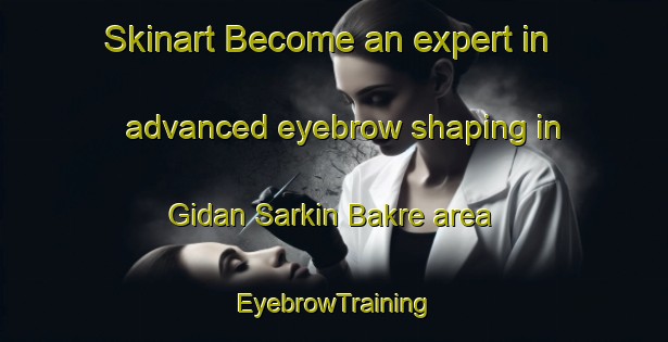 Skinart Become an expert in advanced eyebrow shaping in Gidan Sarkin Bakre area | EyebrowTraining | EyebrowClasses | SkinartTraining-Nigeria
