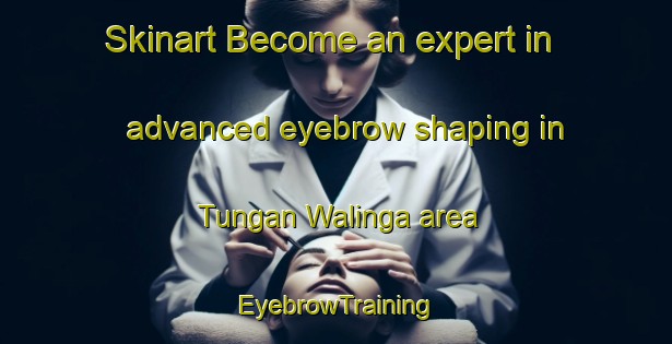 Skinart Become an expert in advanced eyebrow shaping in Tungan Walinga area | EyebrowTraining | EyebrowClasses | SkinartTraining-Nigeria