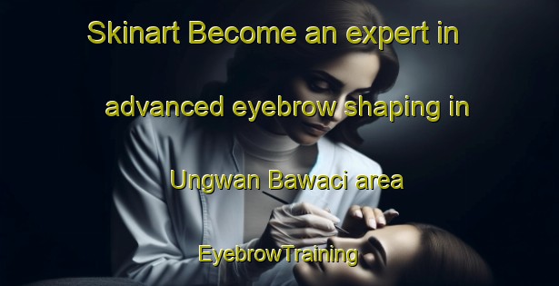 Skinart Become an expert in advanced eyebrow shaping in Ungwan Bawaci area | EyebrowTraining | EyebrowClasses | SkinartTraining-Nigeria