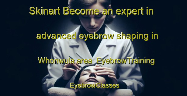 Skinart Become an expert in advanced eyebrow shaping in Whonwula area | EyebrowTraining | EyebrowClasses | SkinartTraining-Nigeria