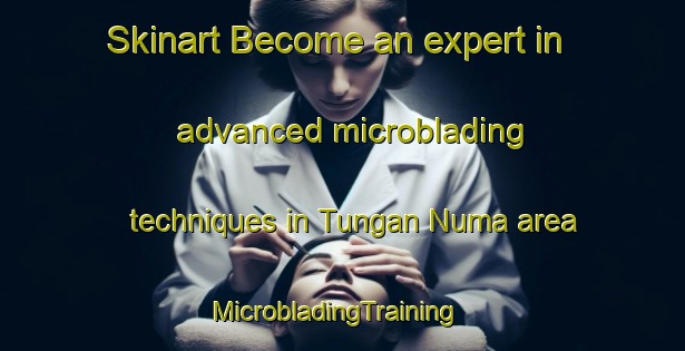 Skinart Become an expert in advanced microblading techniques in Tungan Numa area | MicrobladingTraining | MicrobladingClasses | SkinartTraining-Nigeria