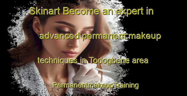Skinart Become an expert in advanced permanent makeup techniques in Todogbene area | PermanentmakeupTraining | PermanentmakeupClasses | SkinartTraining-Nigeria