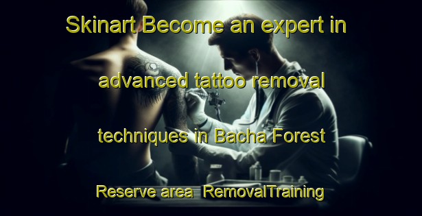 Skinart Become an expert in advanced tattoo removal techniques in Bacha Forest Reserve area | RemovalTraining | RemovalClasses | SkinartTraining-Nigeria