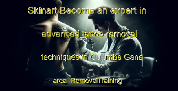 Skinart Become an expert in advanced tattoo removal techniques in Gulumba Gana area | RemovalTraining | RemovalClasses | SkinartTraining-Nigeria