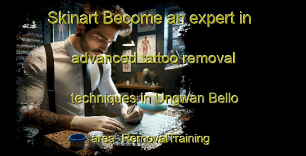 Skinart Become an expert in advanced tattoo removal techniques in Ungwan Bello area | RemovalTraining | RemovalClasses | SkinartTraining-Nigeria