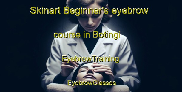 Skinart Beginner's eyebrow course in Botingi | EyebrowTraining | EyebrowClasses | SkinartTraining-Nigeria