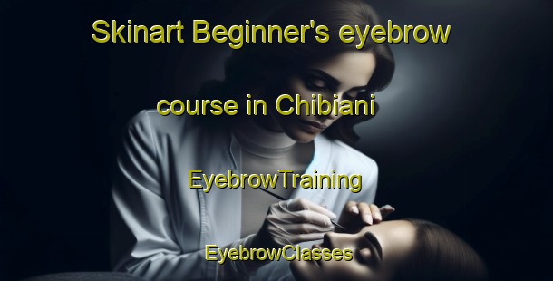 Skinart Beginner's eyebrow course in Chibiani | EyebrowTraining | EyebrowClasses | SkinartTraining-Nigeria