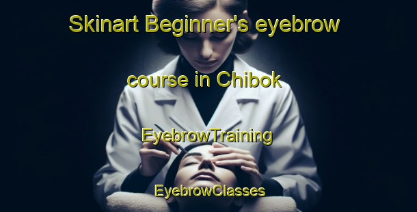 Skinart Beginner's eyebrow course in Chibok | EyebrowTraining | EyebrowClasses | SkinartTraining-Nigeria