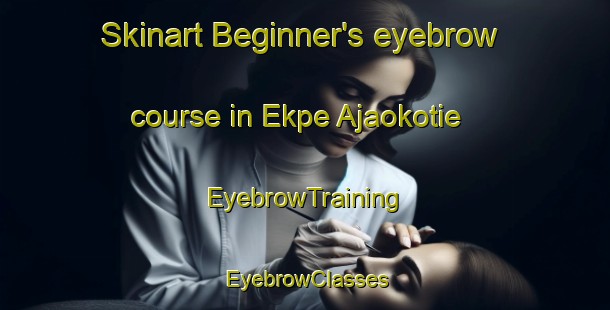Skinart Beginner's eyebrow course in Ekpe Ajaokotie | EyebrowTraining | EyebrowClasses | SkinartTraining-Nigeria
