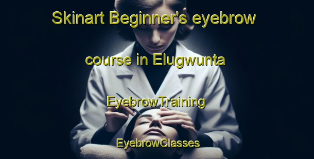 Skinart Beginner's eyebrow course in Elugwunta | EyebrowTraining | EyebrowClasses | SkinartTraining-Nigeria