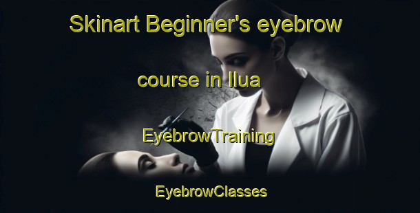 Skinart Beginner's eyebrow course in Ilua | EyebrowTraining | EyebrowClasses | SkinartTraining-Nigeria