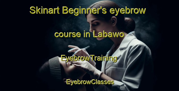 Skinart Beginner's eyebrow course in Labawo | EyebrowTraining | EyebrowClasses | SkinartTraining-Nigeria