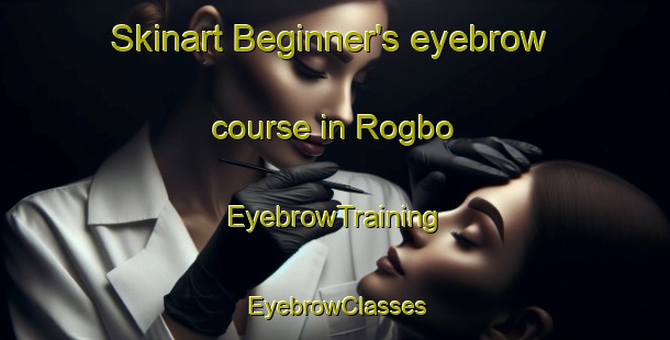 Skinart Beginner's eyebrow course in Rogbo | EyebrowTraining | EyebrowClasses | SkinartTraining-Nigeria