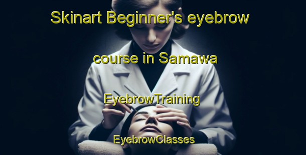 Skinart Beginner's eyebrow course in Samawa | EyebrowTraining | EyebrowClasses | SkinartTraining-Nigeria