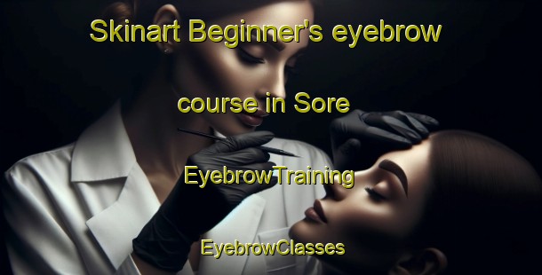 Skinart Beginner's eyebrow course in Sore | EyebrowTraining | EyebrowClasses | SkinartTraining-Nigeria