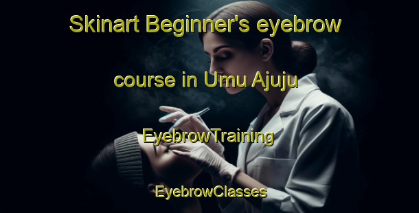 Skinart Beginner's eyebrow course in Umu Ajuju | EyebrowTraining | EyebrowClasses | SkinartTraining-Nigeria